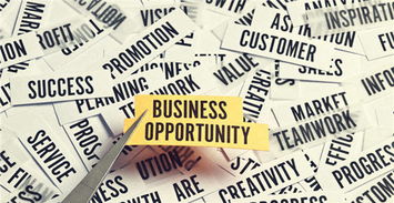 阿里為出口企業信用 品牌雙重擔保,哪些企業能入選 全球質造 計劃